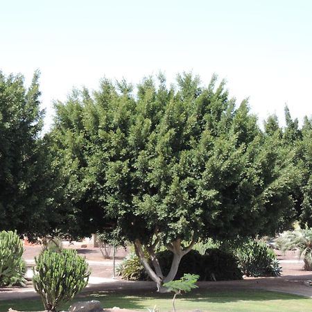 马斯帕洛马斯Bungalow Del Sol Maspalomas公寓 外观 照片